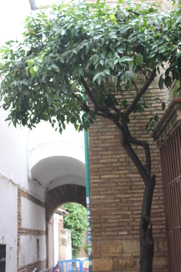 Ferienwohnung Loft Turistico En Casco Historico, Wifi Y Tv Satelite Gratis Córdoba Exterior foto